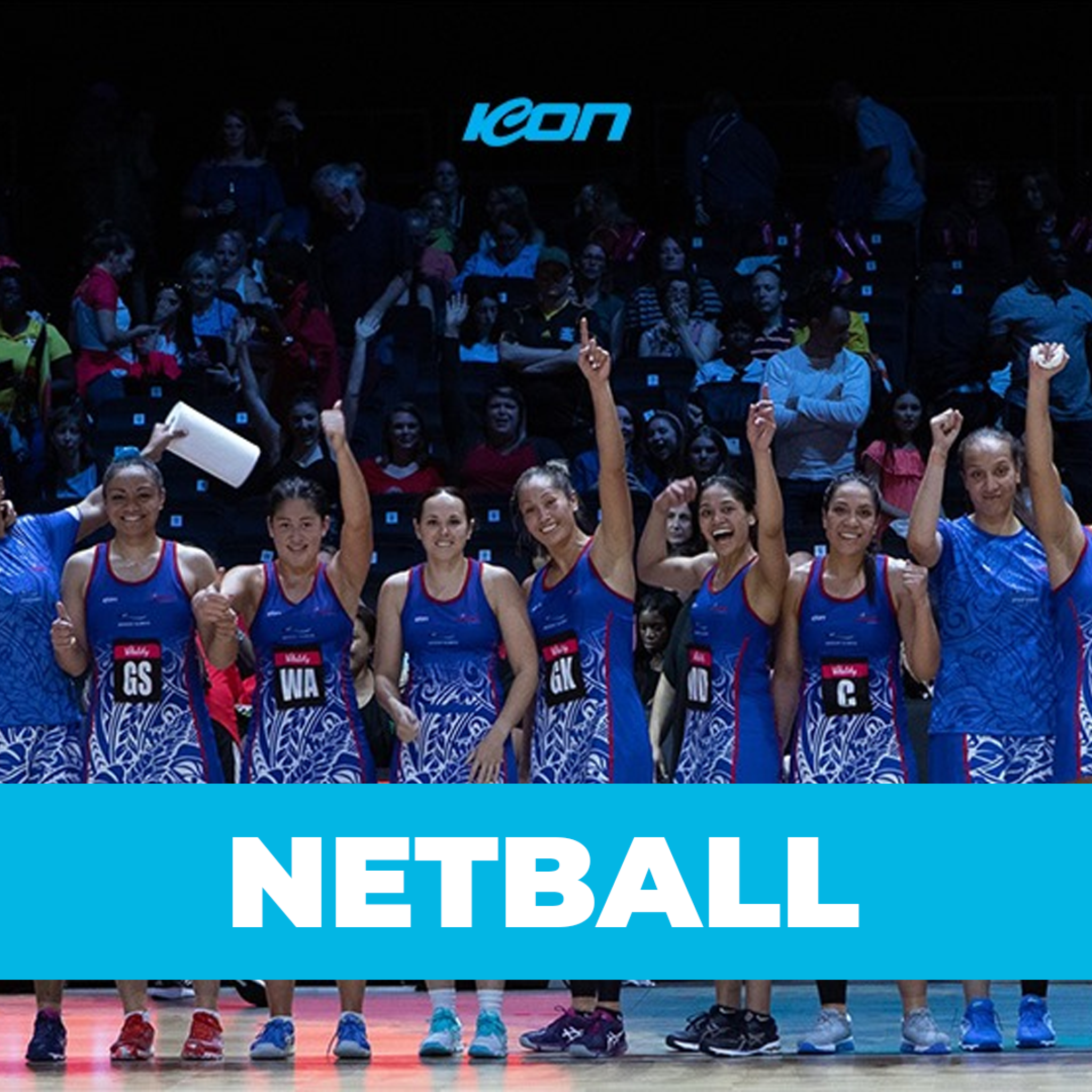 Icon-Sports-Au-Netball.png